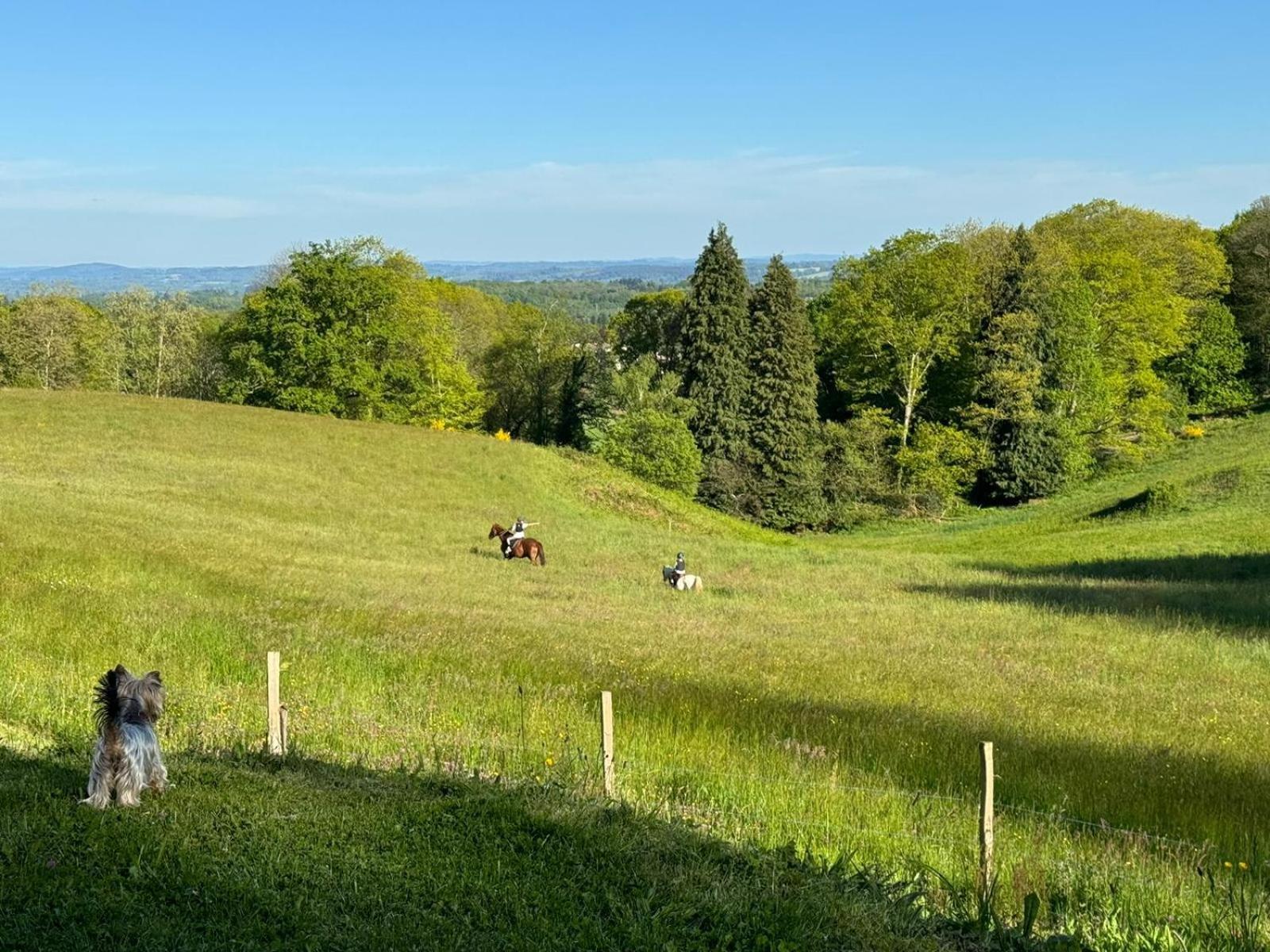 Domaine De Montmery Sa Piscine Son Jardin Ses Espaces Ambazac 외부 사진