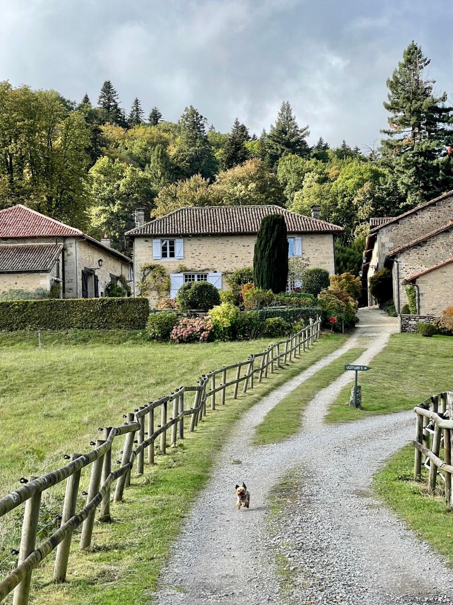 Domaine De Montmery Sa Piscine Son Jardin Ses Espaces Ambazac 외부 사진