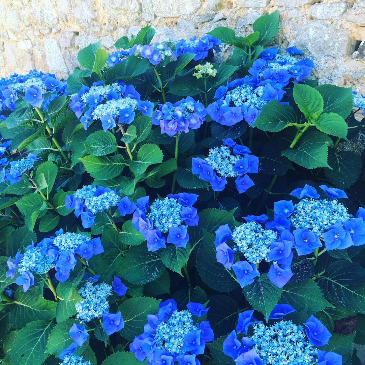 Domaine De Montmery Sa Piscine Son Jardin Ses Espaces Ambazac 외부 사진